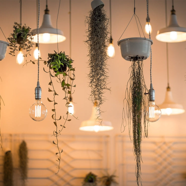 E27 40W Retro Edison Light Bulb Filament Vintage Ampoule Incandescent Bulb, AC 220V(G80 Filament) - Retro Lights by PMC TechLife | Online Shopping South Africa | PMC TechLife