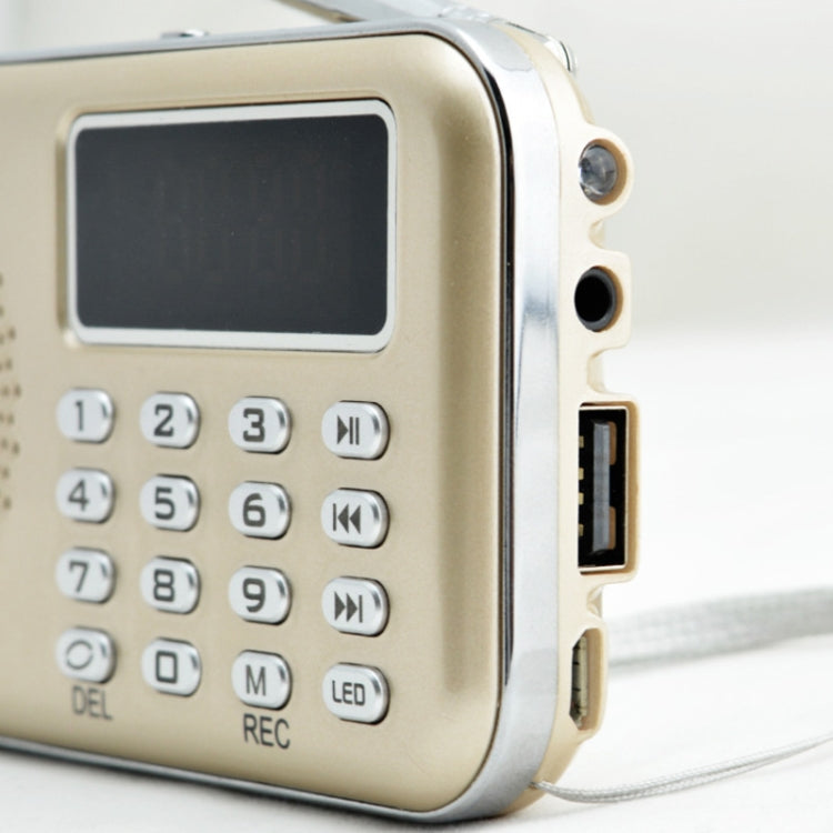 Y-619  FM/AM Mini Radio MP3 Rechargeable Music Player Support TF/SD Card with LED Display(Black) - Radio Player by PMC TechLife | Online Shopping South Africa | PMC TechLife