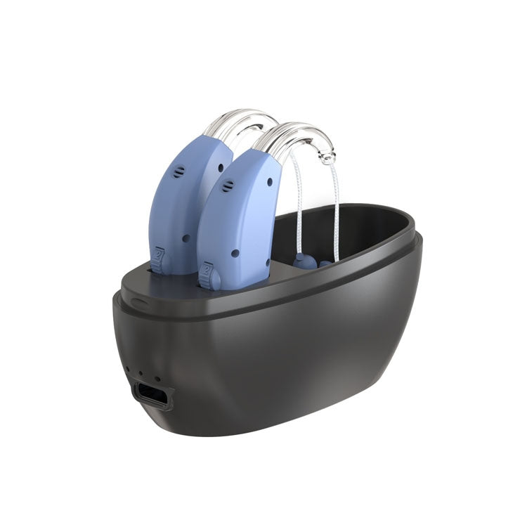 Elderly Use Can Charge Sound Amplifier Hearing Aid, Specification: US Plug(Blue Double Machine+Black Charging Bin) - Hearing Aids by PMC TechLife | Online Shopping South Africa | PMC TechLife