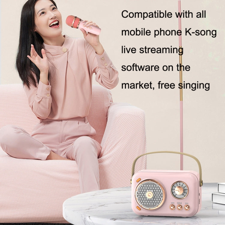 POLVCDG B152 Multi-Functional Small Family KTV Karaoke Microphone Sound Integration(Pink) - Desktop Speaker by POLVCDG | Online Shopping South Africa | PMC TechLife | Buy Now Pay Later Mobicred