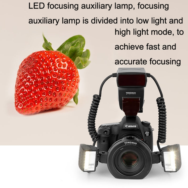 For Canon TTL Oral Insect Insect Teeth Ring Light YONGNUO YN24EX Macro Ring Flash Speedlite(Black) - free shipping - PMC TechLife - Order now!