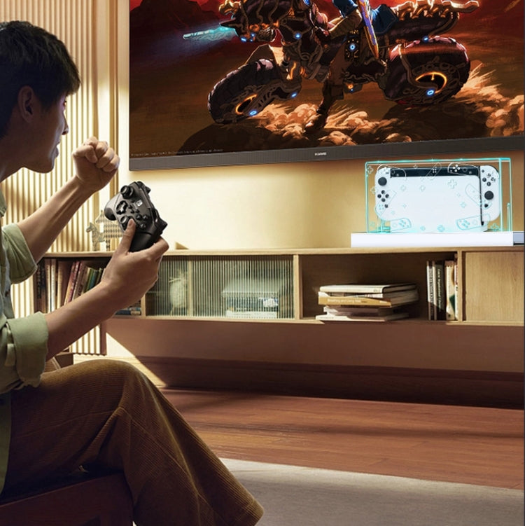 035 for Nintendo Switch/Oled Game Console Display Dustproof Cover, Spec: Black Label - Cases by PMC TechLife | Online Shopping South Africa | PMC TechLife