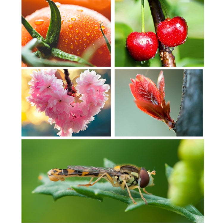 APEXEL CM-HB100CPL HB100mm HD External Macro Mobile Phone Lens with CPL(Black) - free shipping - PMC TechLife - Order now!