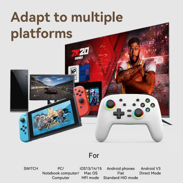 Wireless Bluetooth Somatosensory Vibration Gamepad for Nintendo Switch/Switch PRO, Color: Black Gold - Gamepads by PMC TechLife | Online Shopping South Africa | PMC TechLife