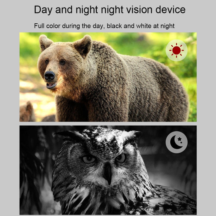 APEXEL 3-inch LCD HD Screen Photo Video Portable Binoculars Digital Infrared Night Vision Device(APL-NV009) - free shipping - PMC TechLife - Order now!