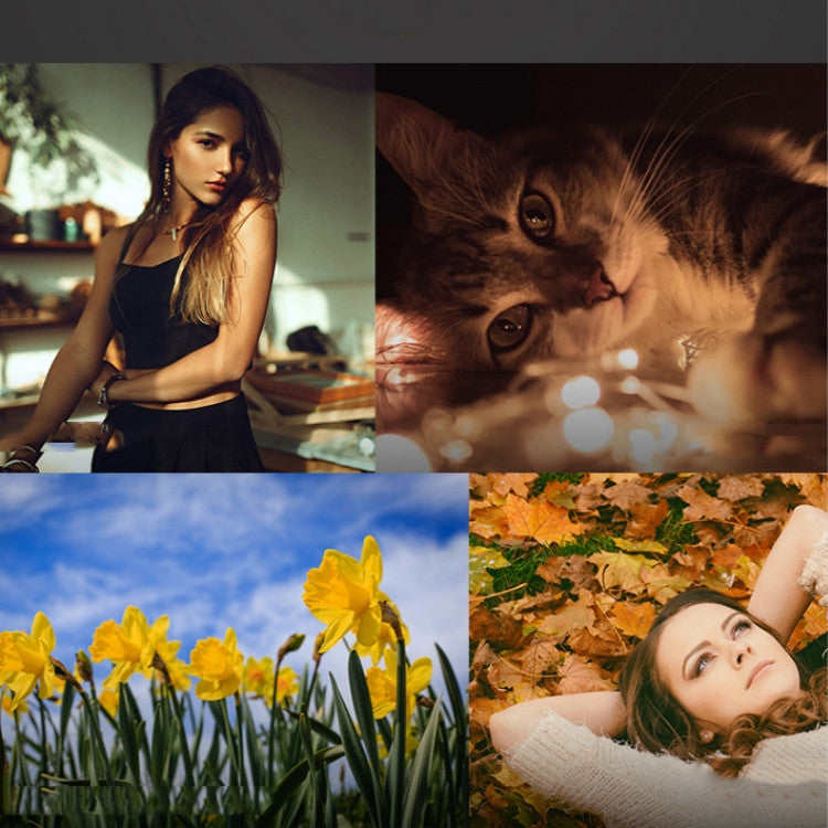 APEXEL APL-HB2X 2X Telephoto Lens Extended Professional HD External Mobile Phone Universal Lens - free shipping - PMC TechLife - Order now!